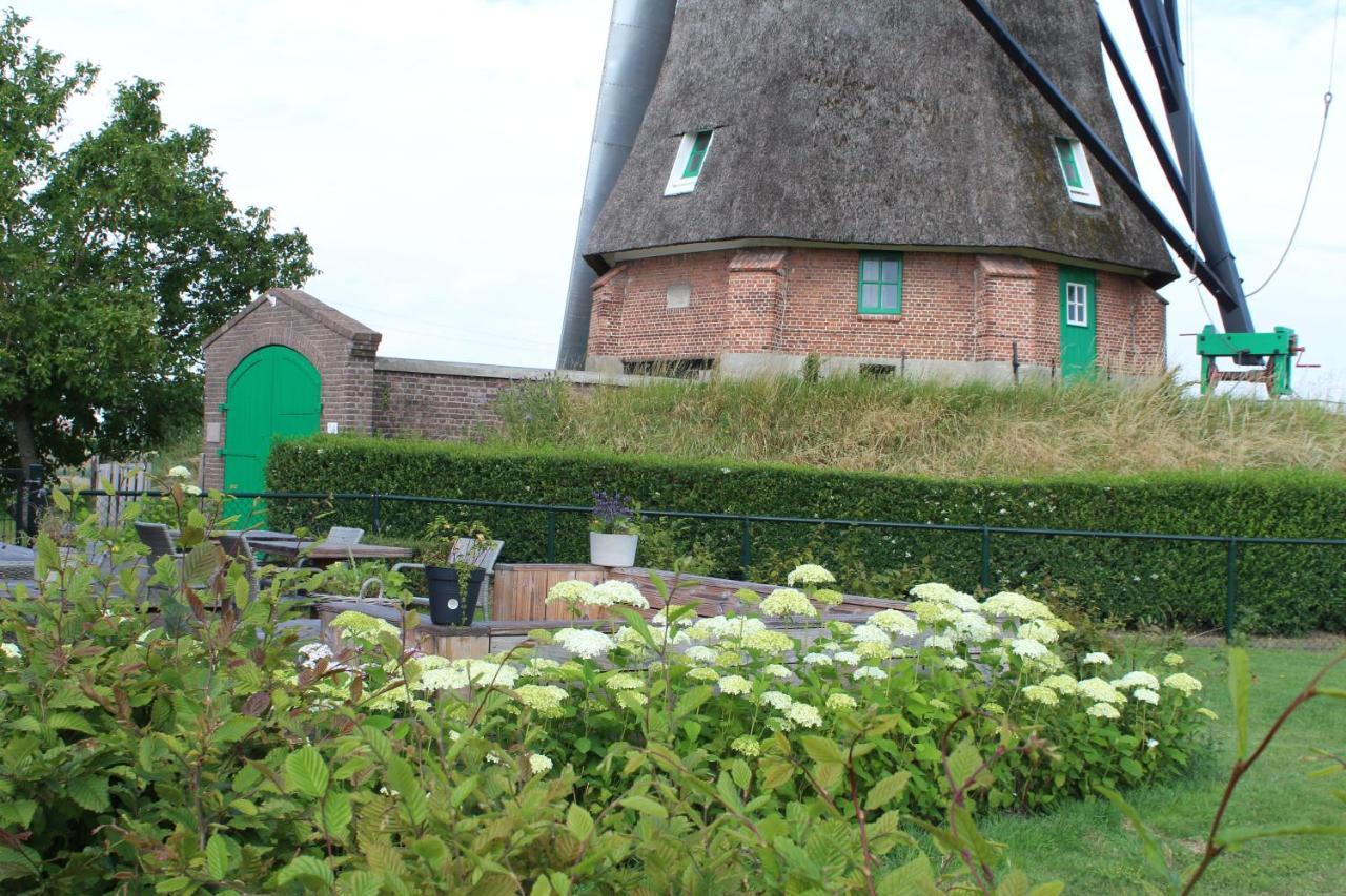 Bij Molen De Blazekop, Rustig En Landelijk Villa Ovezande Exterior foto