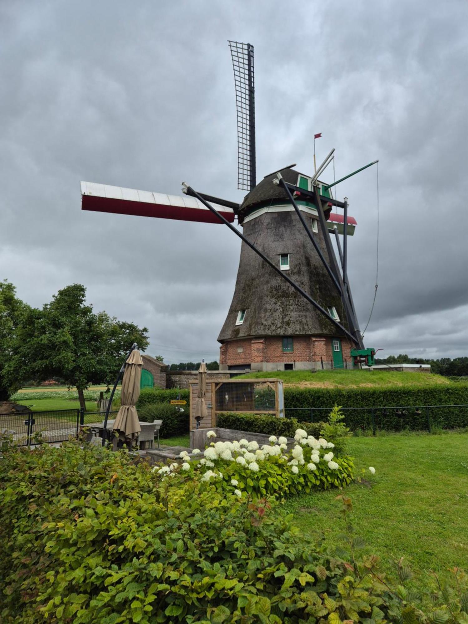 Bij Molen De Blazekop, Rustig En Landelijk Villa Ovezande Exterior foto